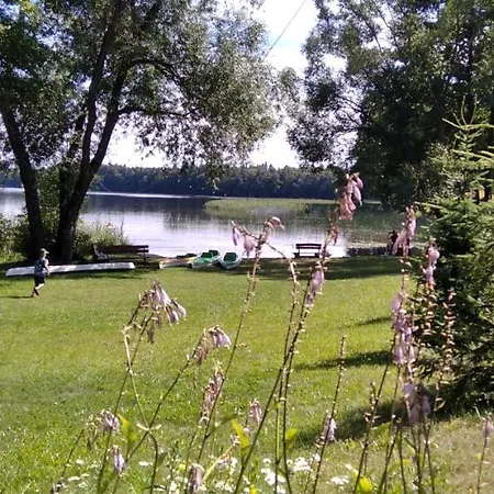 캠프장 Camping Marchewkowe Pole